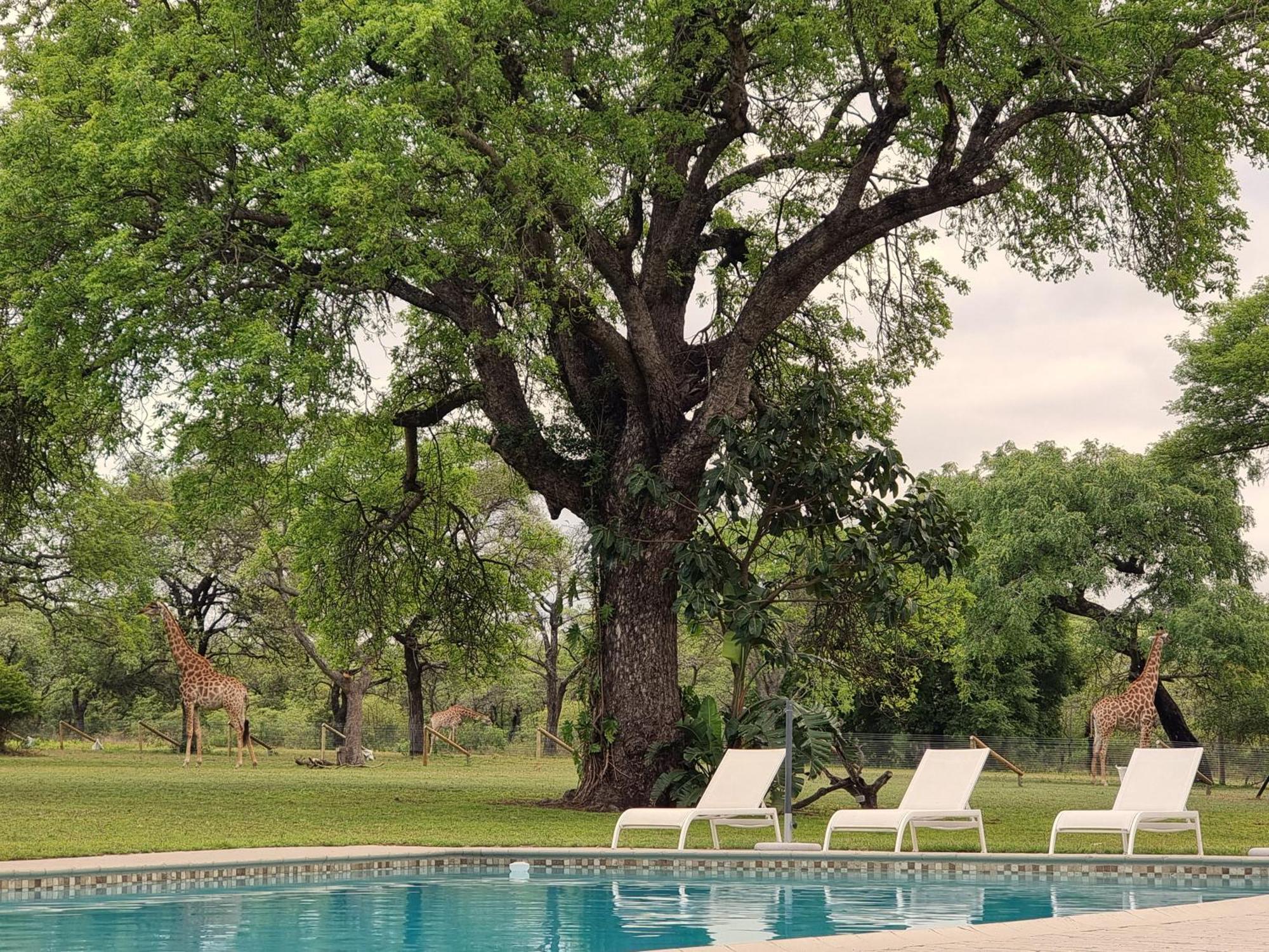 Unyati Safari Lodge Hectorspruit Exterior photo